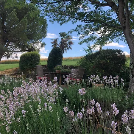 Maison Lamothe לינה וארוחת בוקר Flamarens