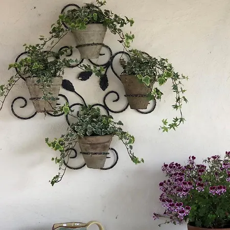 לינה וארוחת בוקר Maison Lamothe 4*